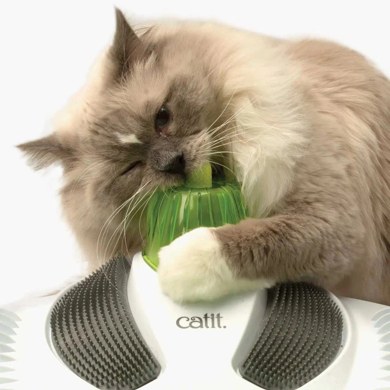 Catit Senses Wellness Center